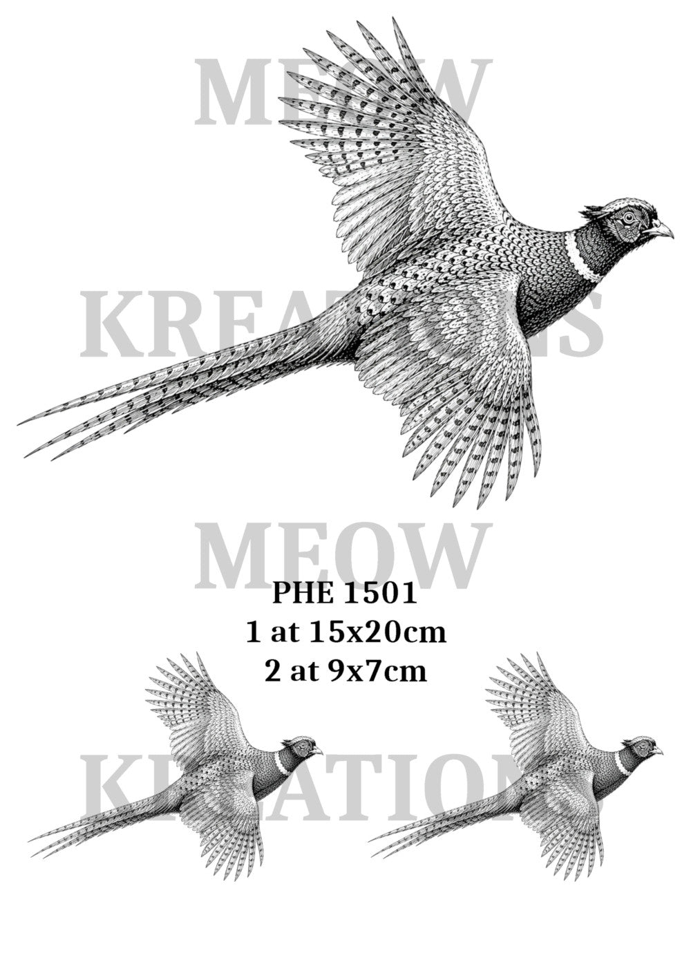 PHE 1501