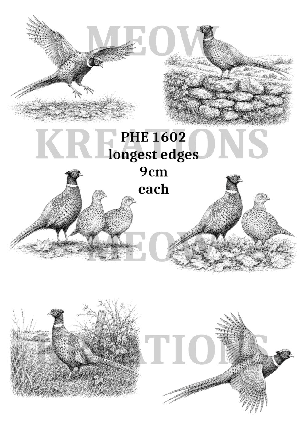 PHE 1602