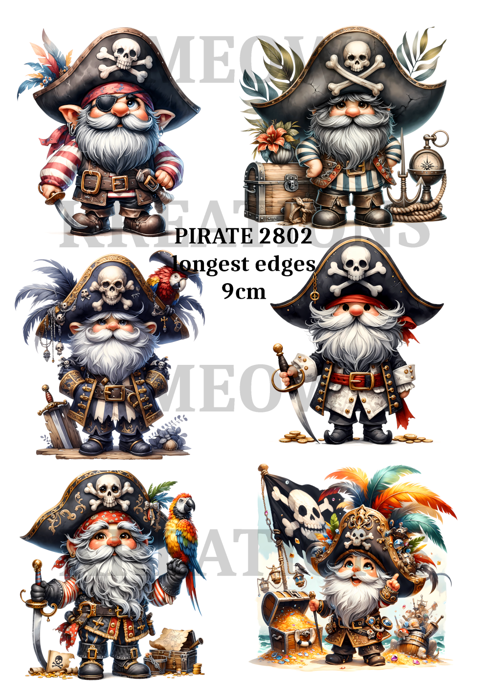 PIRATE 2802