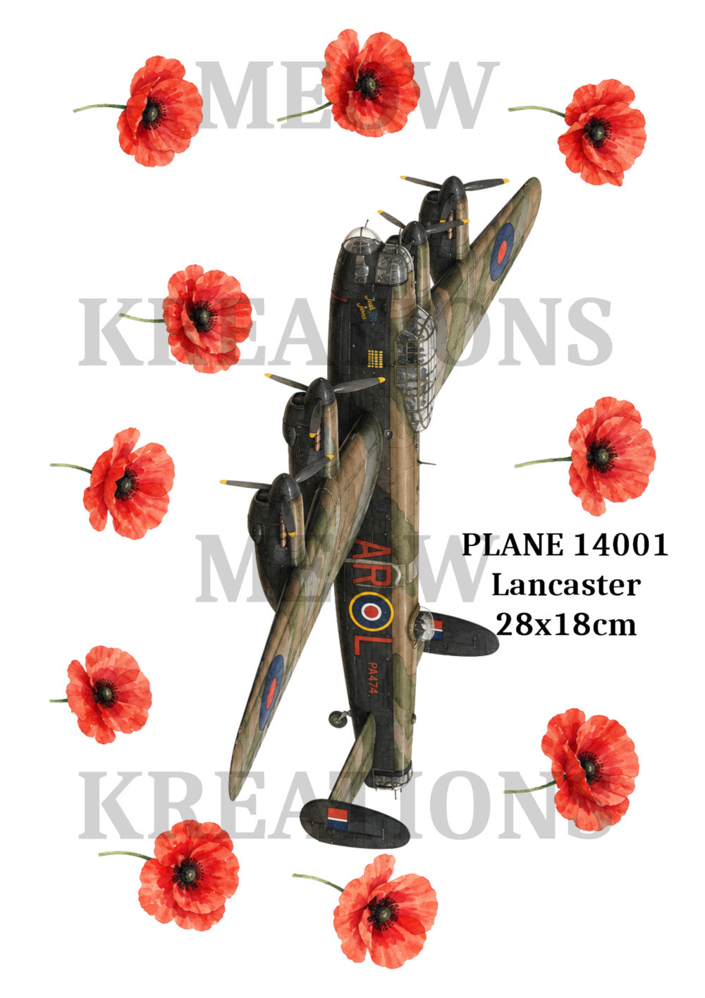 AVIÓN 5002