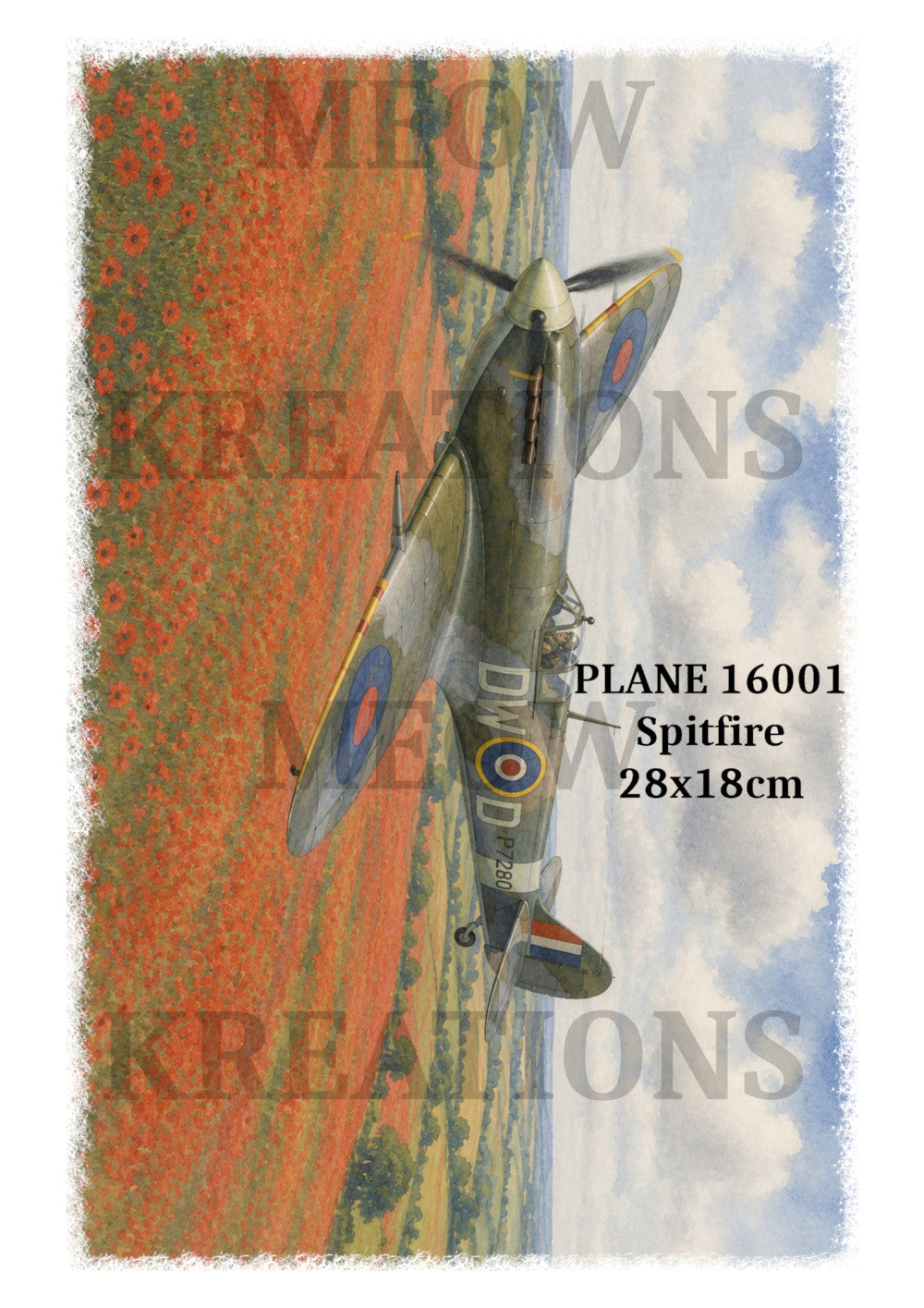 AVIÓN 5002