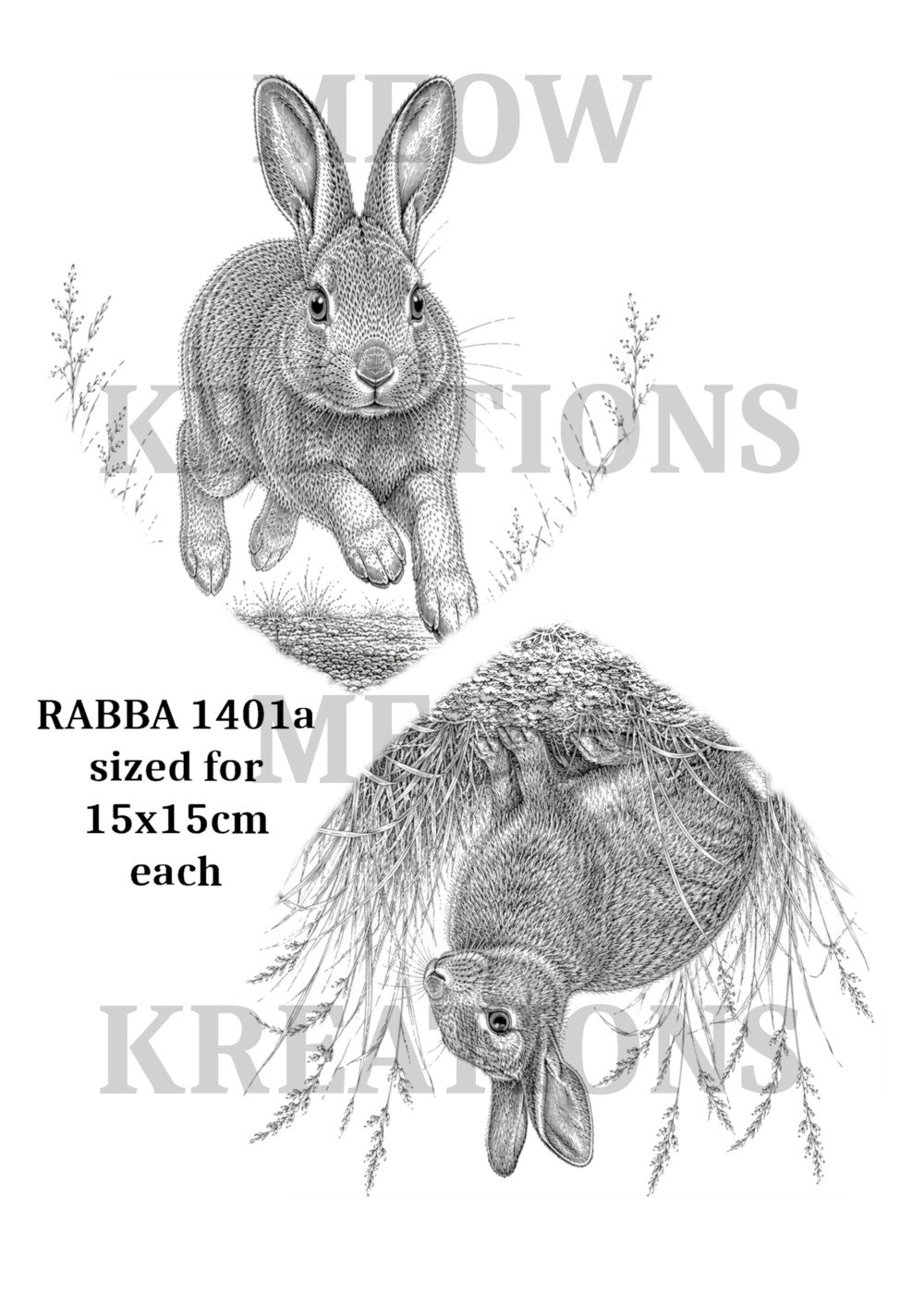 RABBA 1401a
