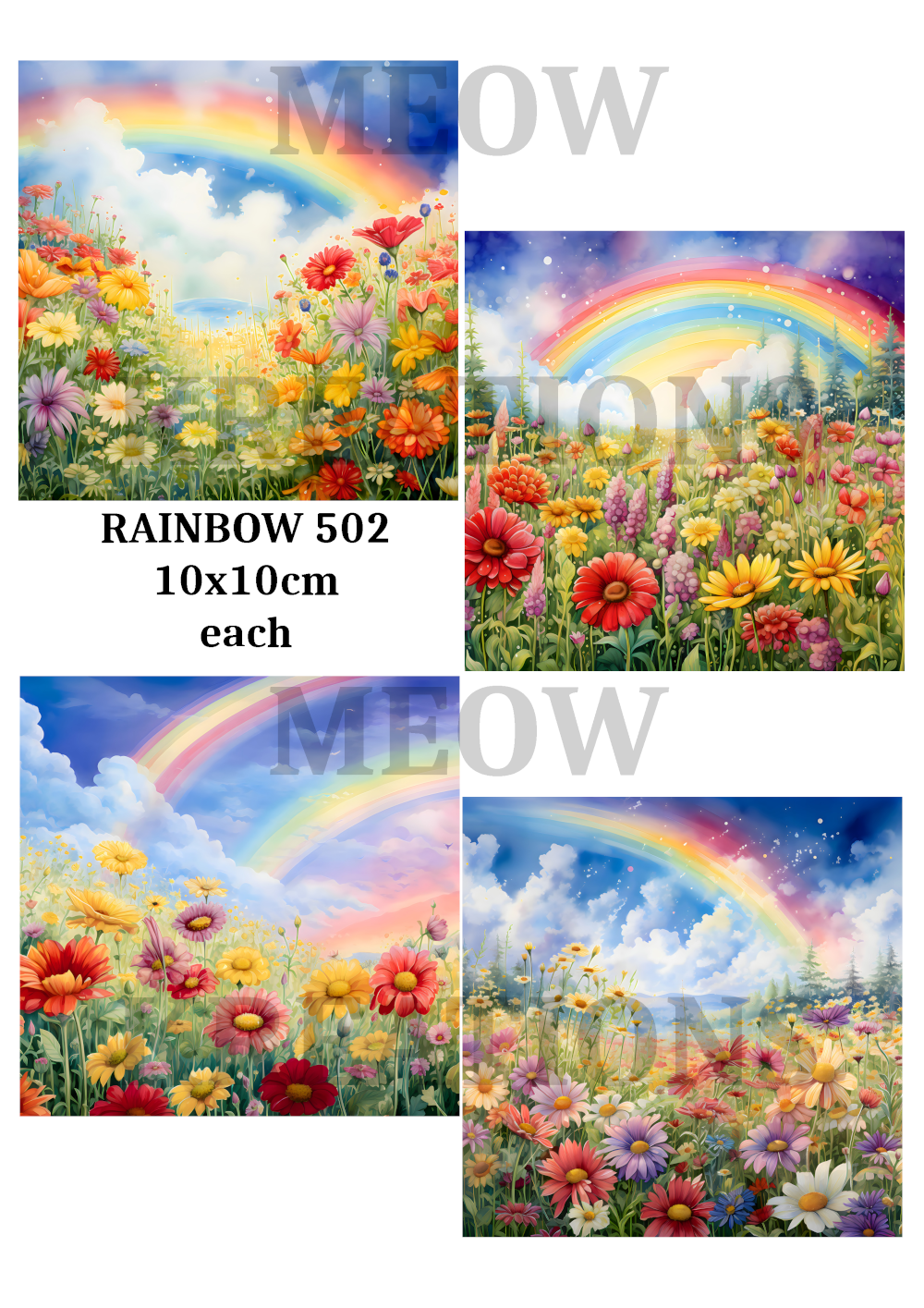 RAINBOW 502