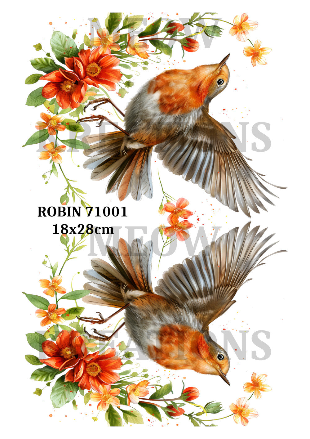 ROBIN 71001
