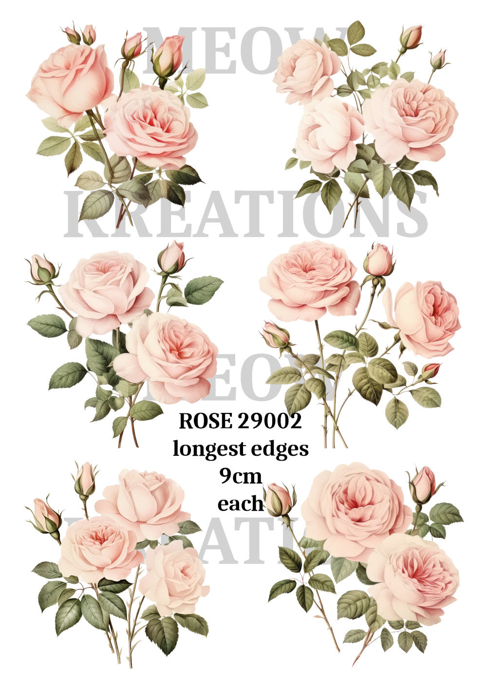 ROSE 29002