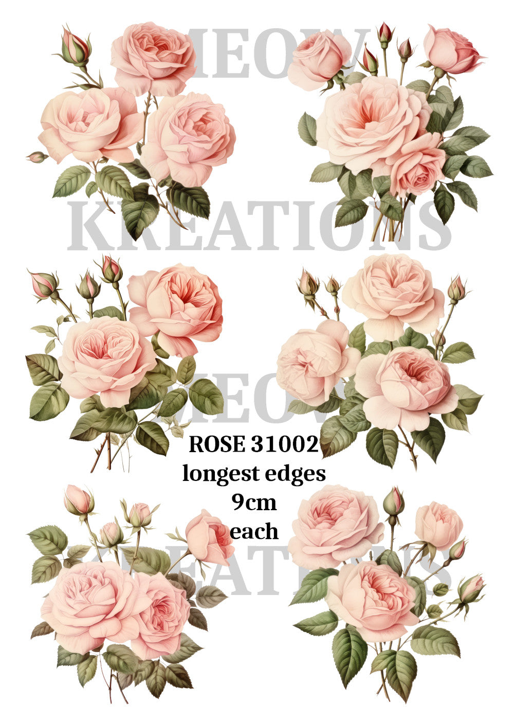 ROSE 31002
