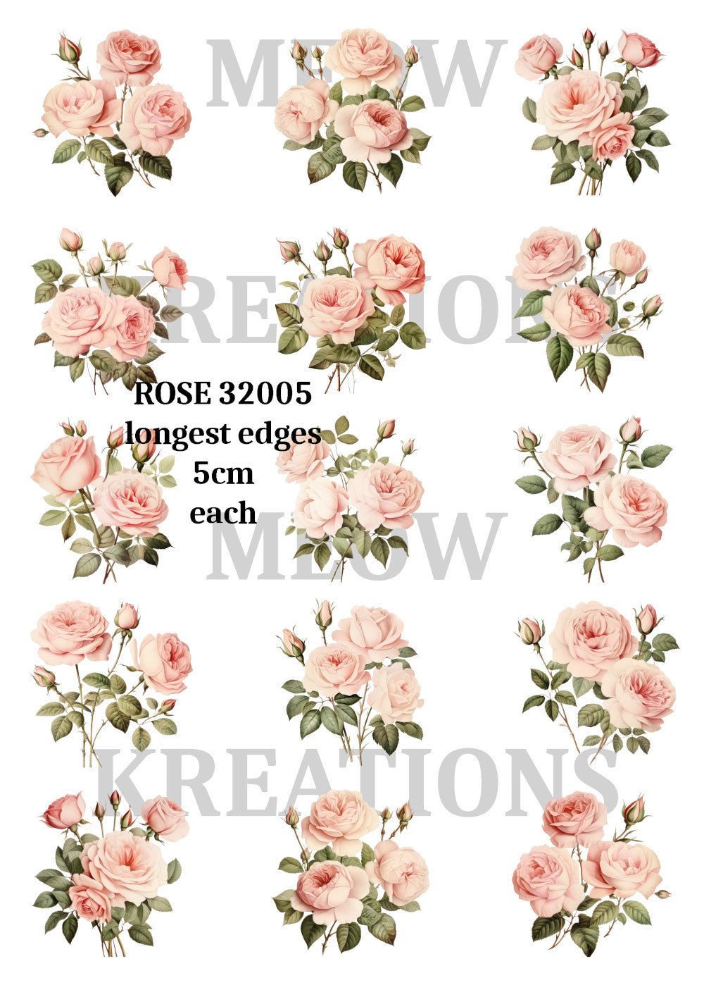 ROSE 32005
