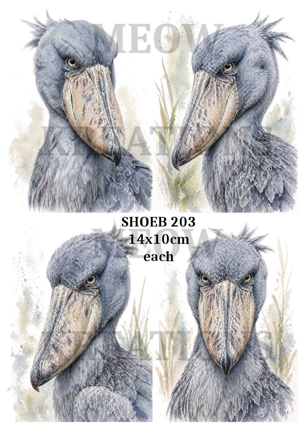 SHOEB 203