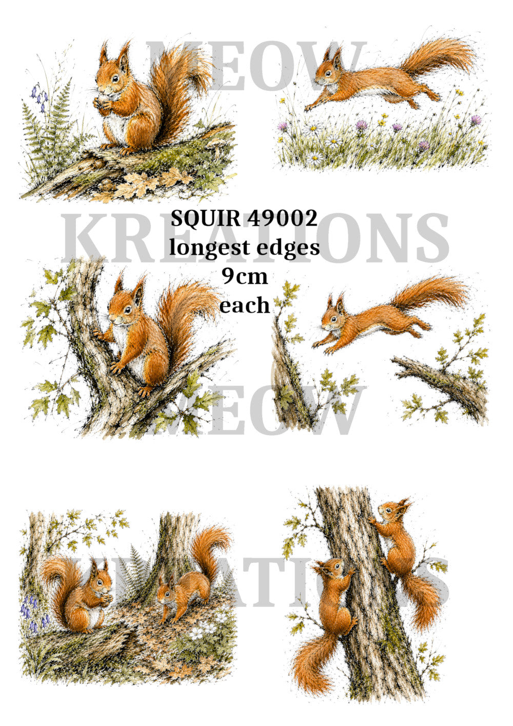 SQUIR 49002