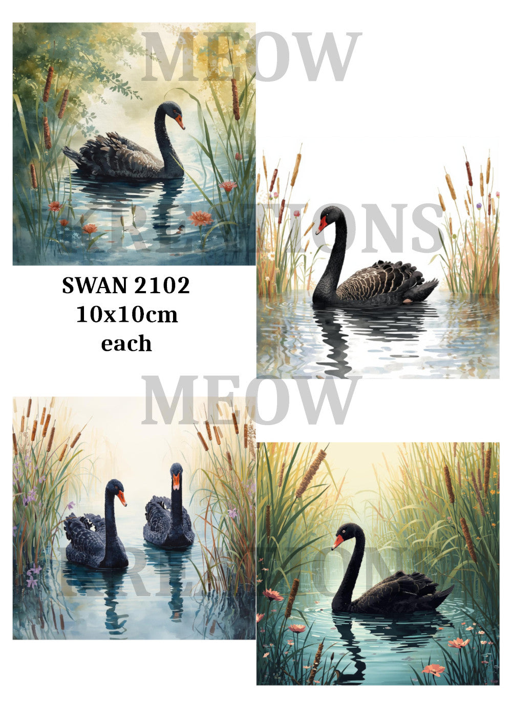 SWAN 2102