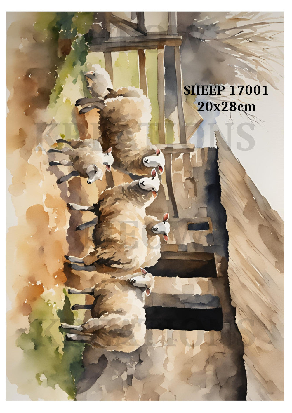 SHEEP 17001