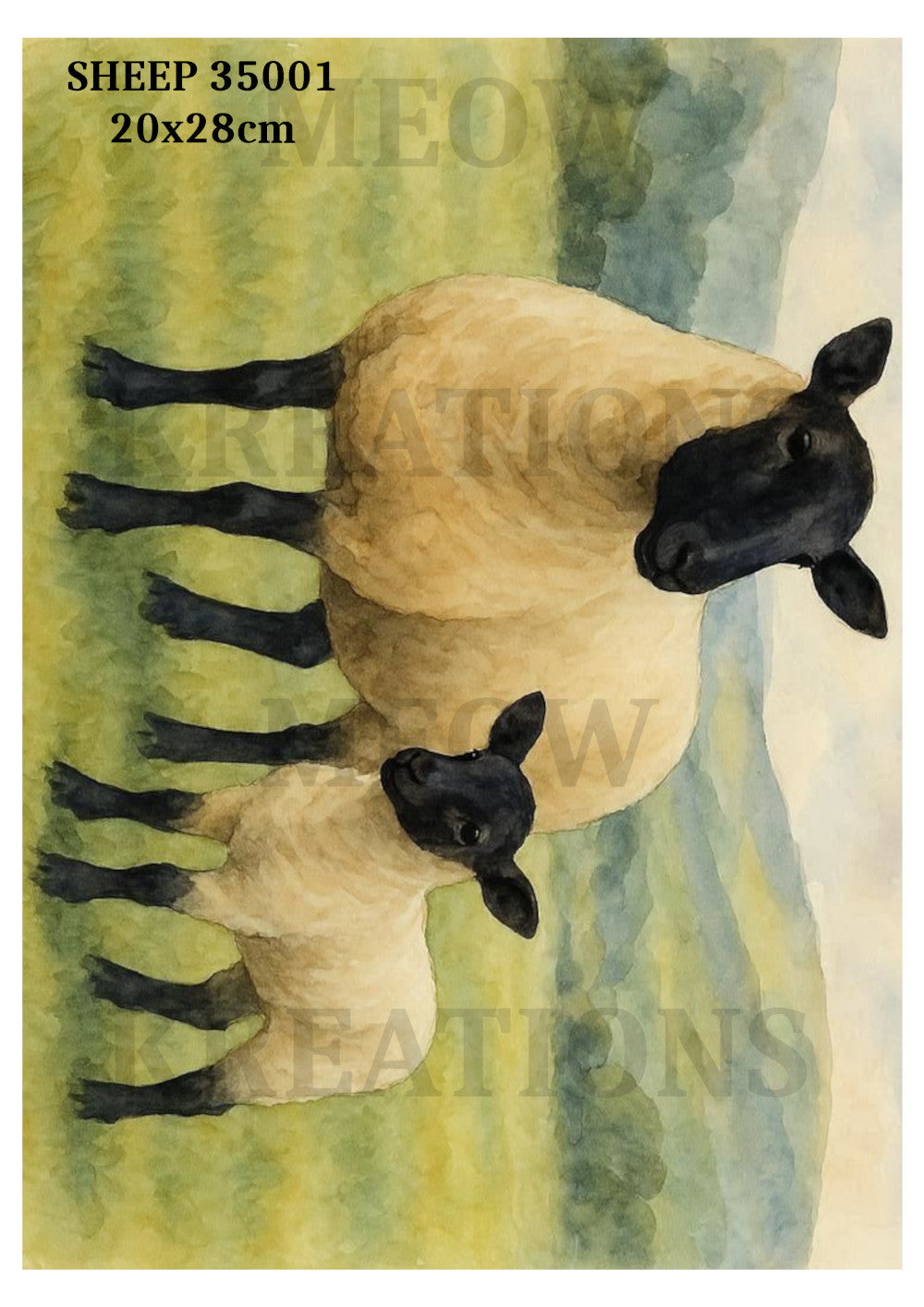 SHEEP 35001