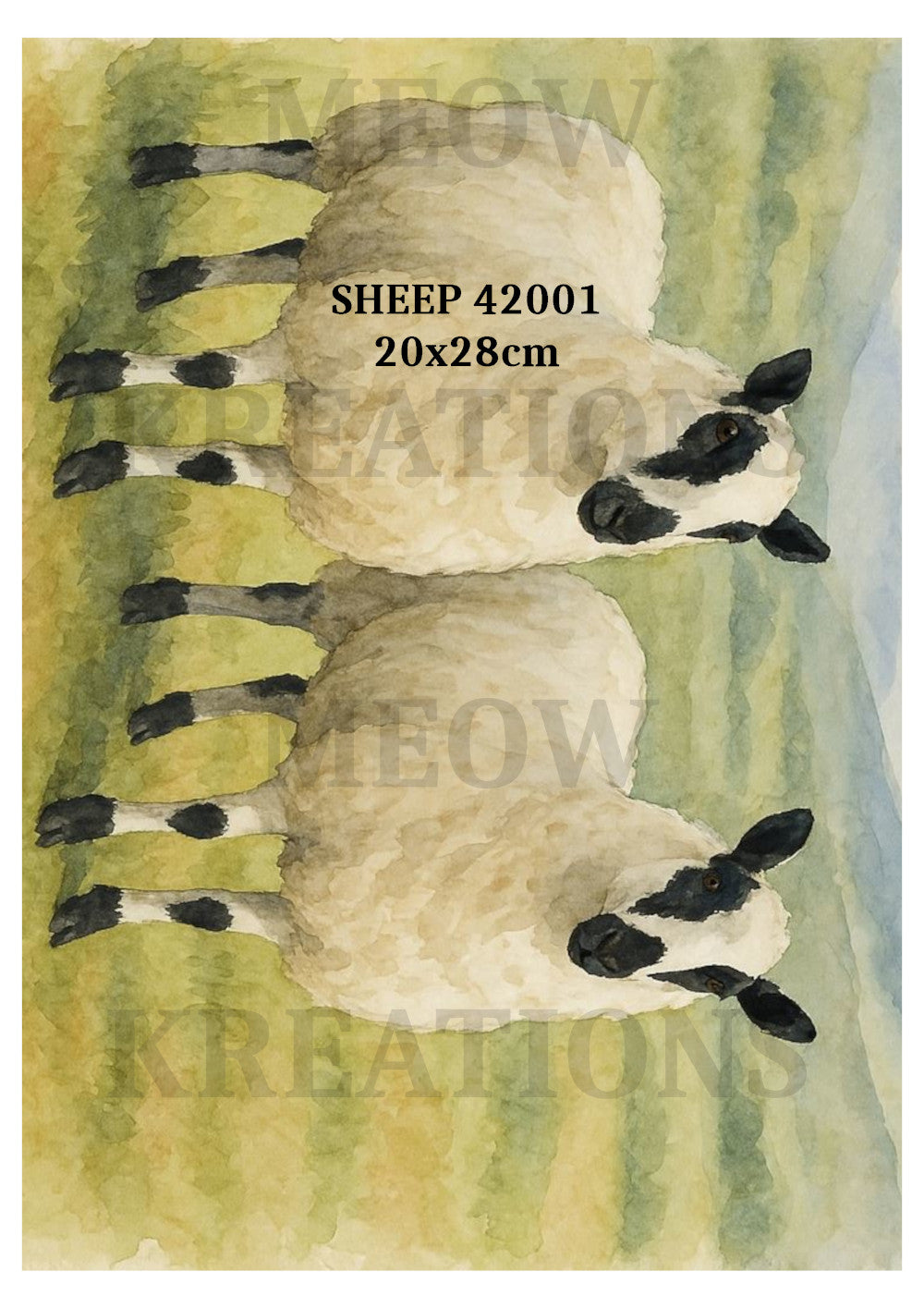 SHEEP 42001