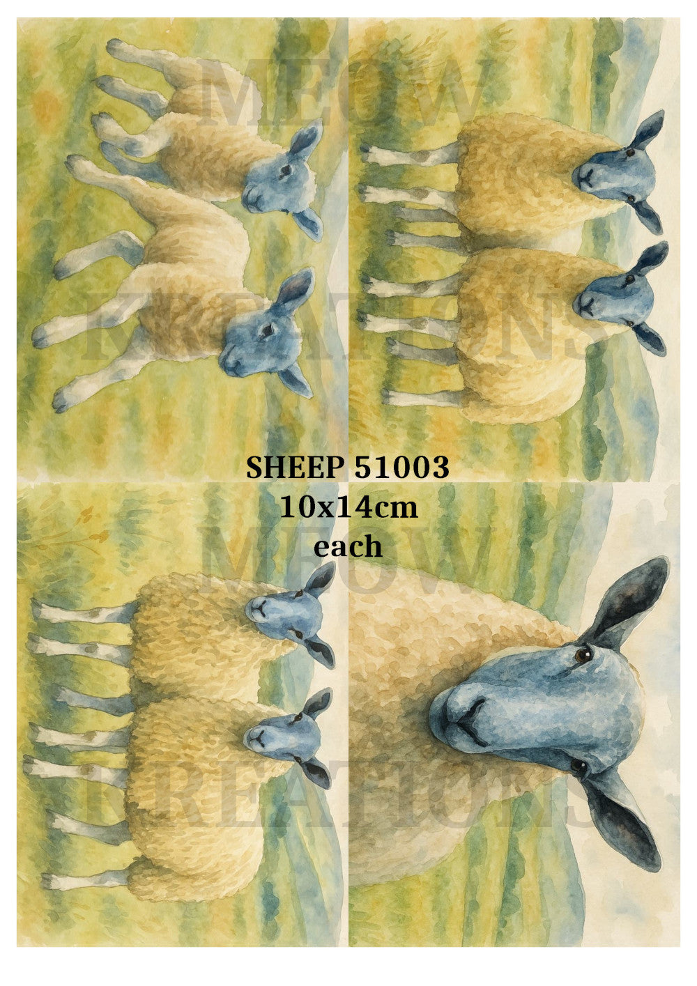 SHEEP 51003