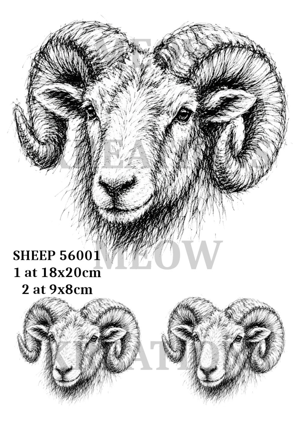 SHEEP 56001