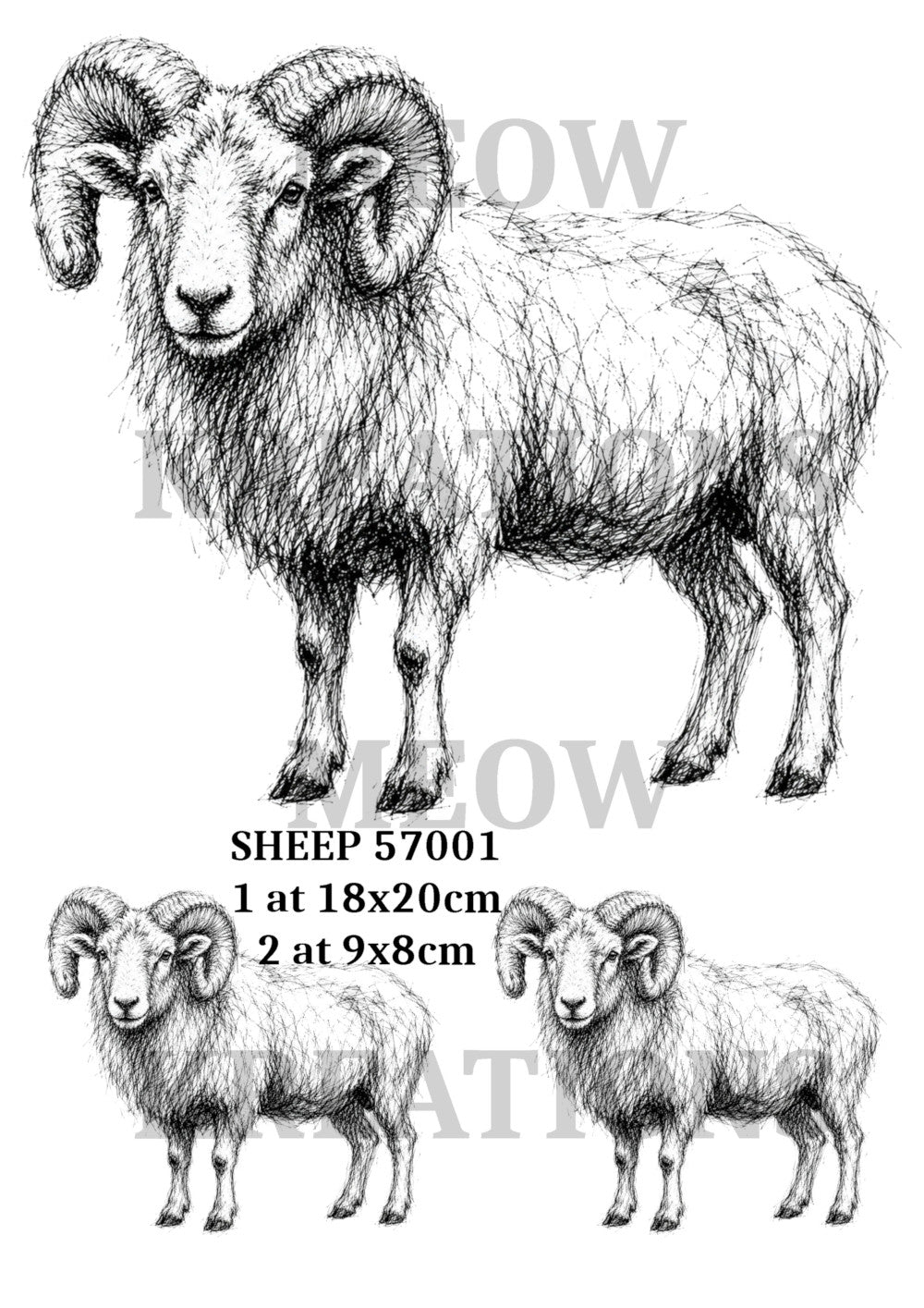 SHEEP 57001