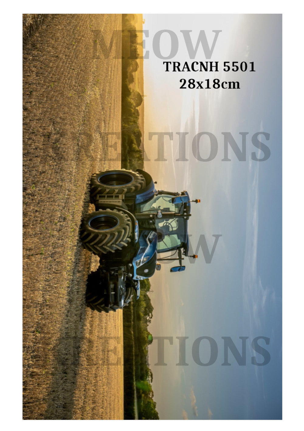 TRACMF 5501