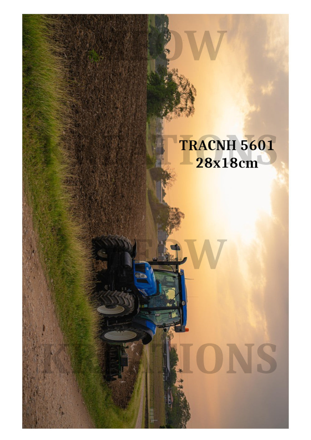 TRACMF 5601
