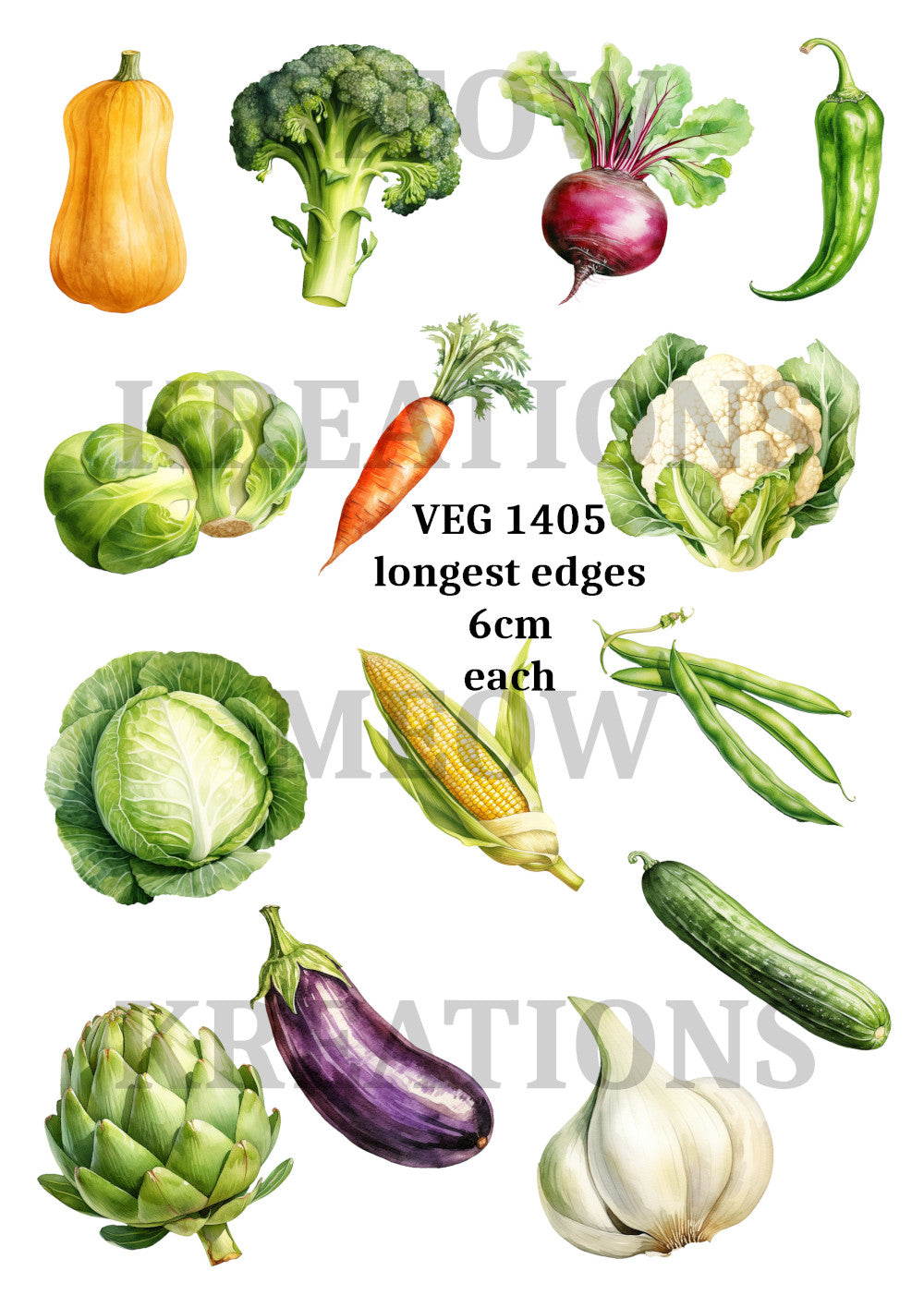 VEG 1405