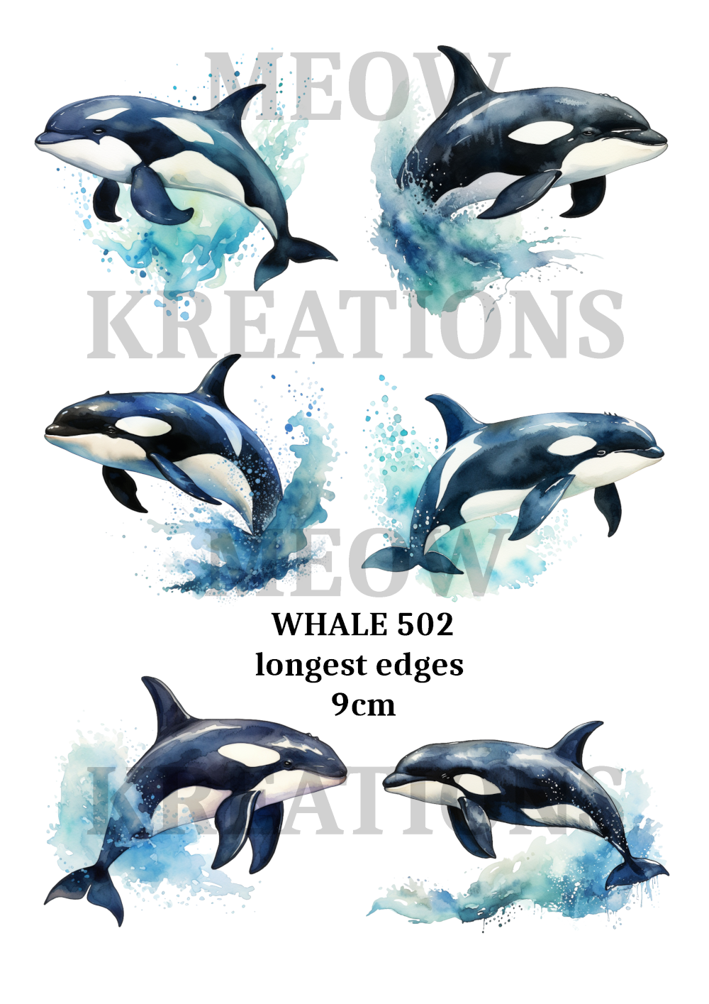 WHALE 502