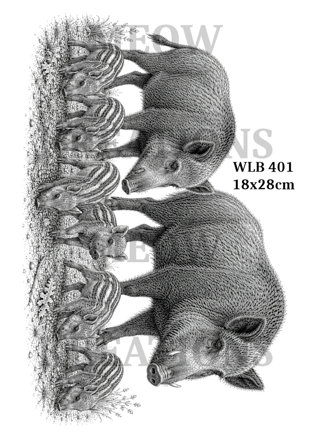 WLB 401