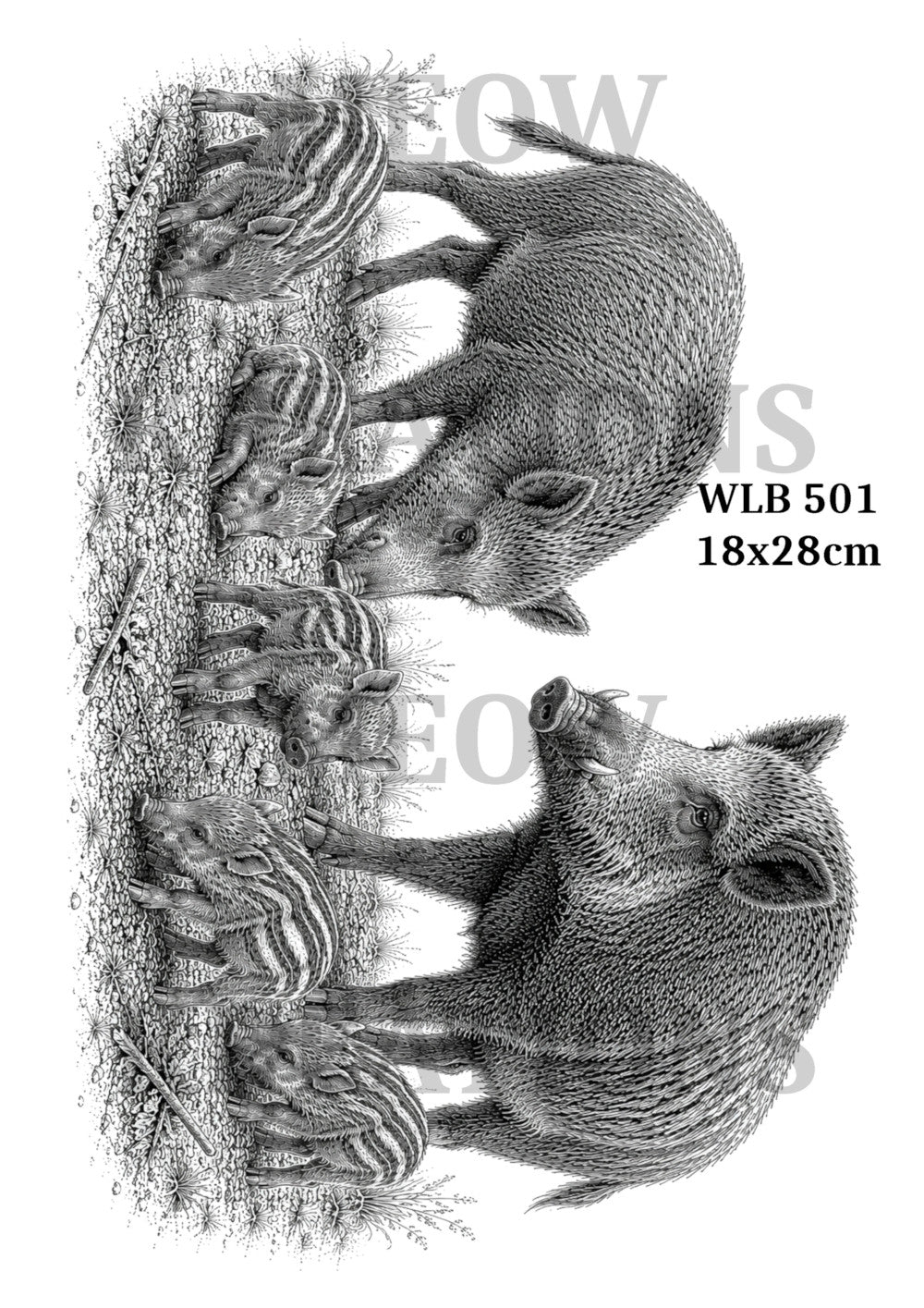WLB 501
