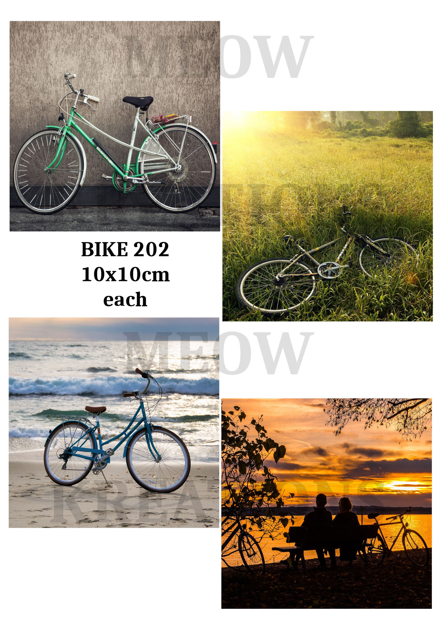 BIKE 202