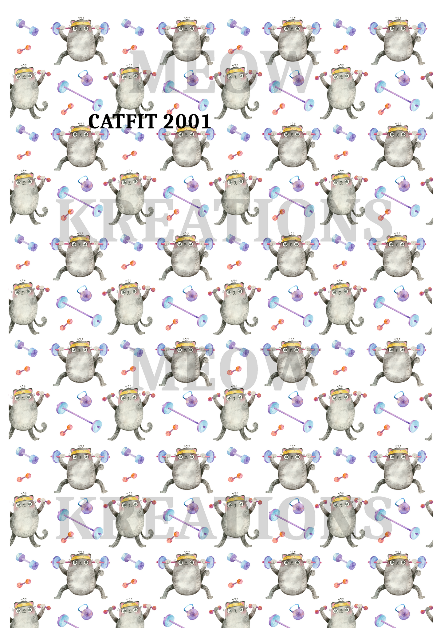 CATFIT 2001