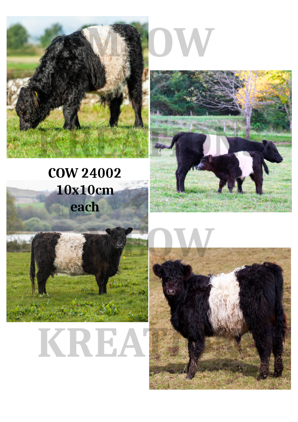 COW 24002