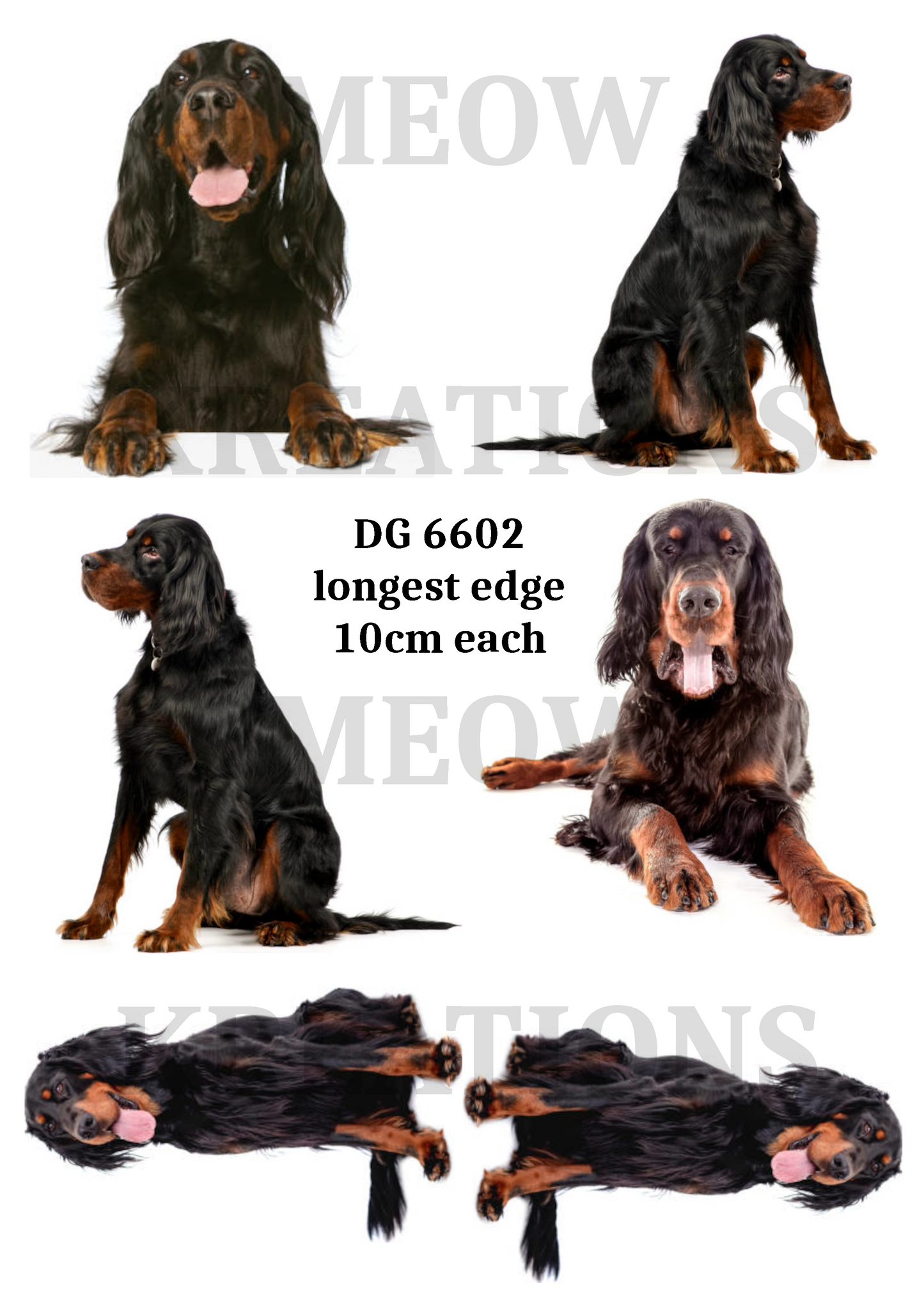 DG 6602