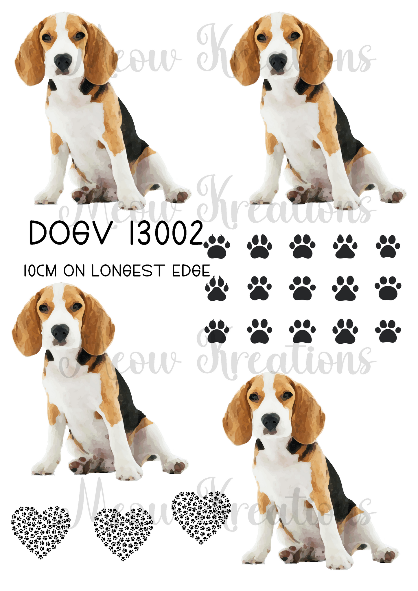 DOGV 13002