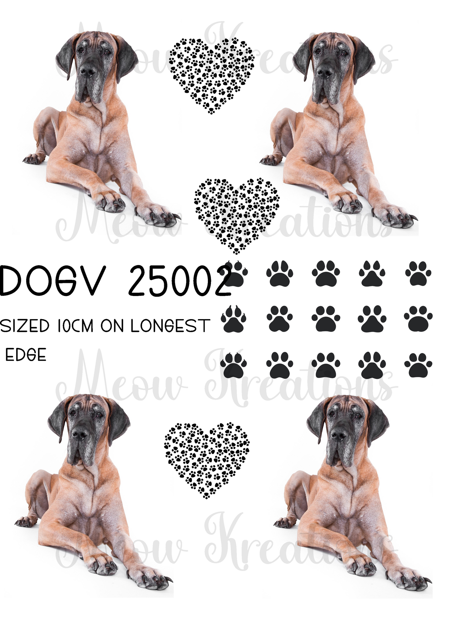 DOGV 25002