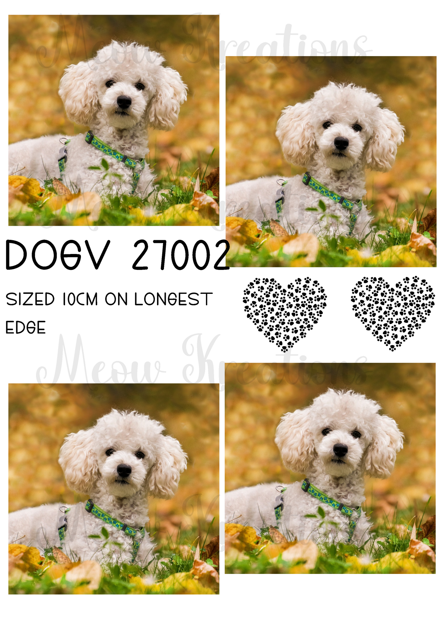 DOGV 27002