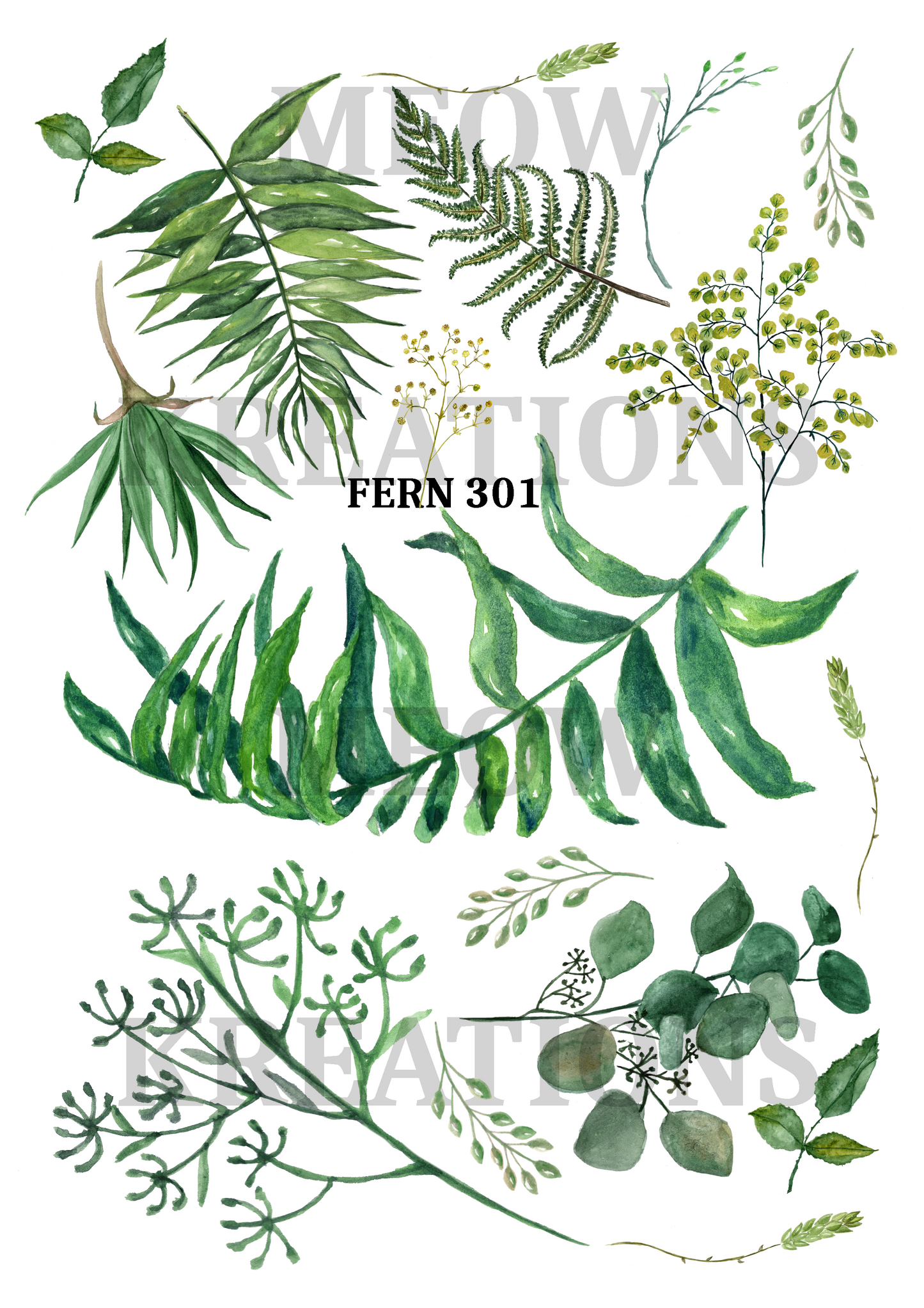 FERN 301