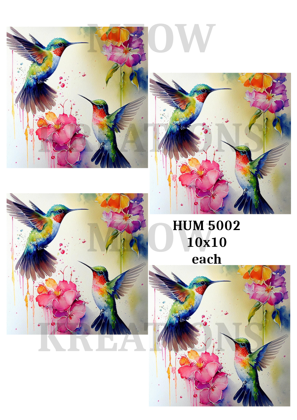 HUM 5002