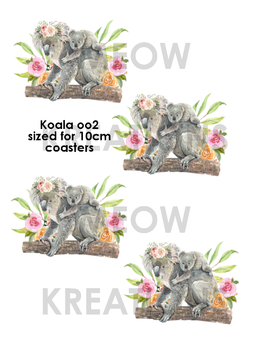 KOALA 002