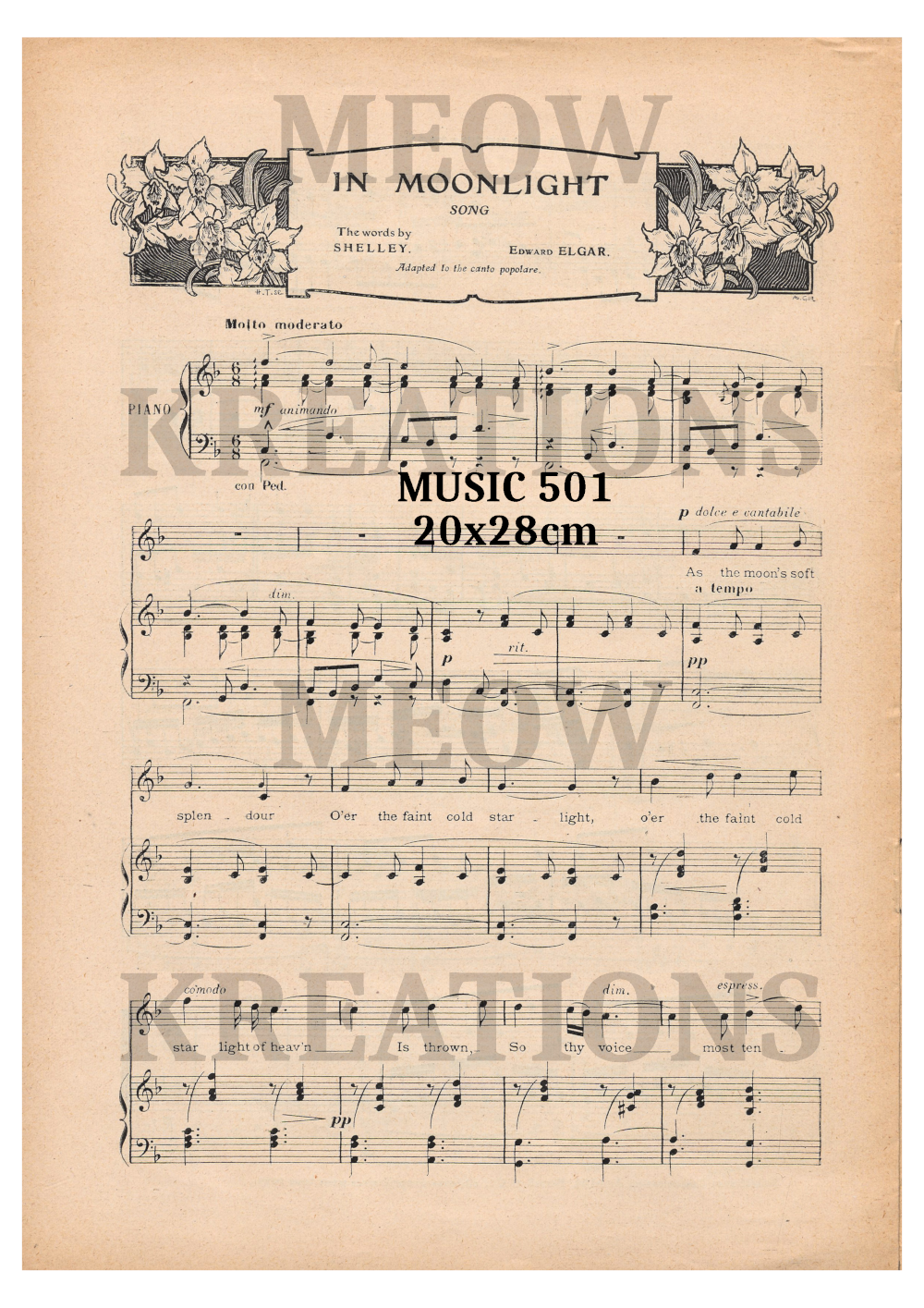 MUSIC 501