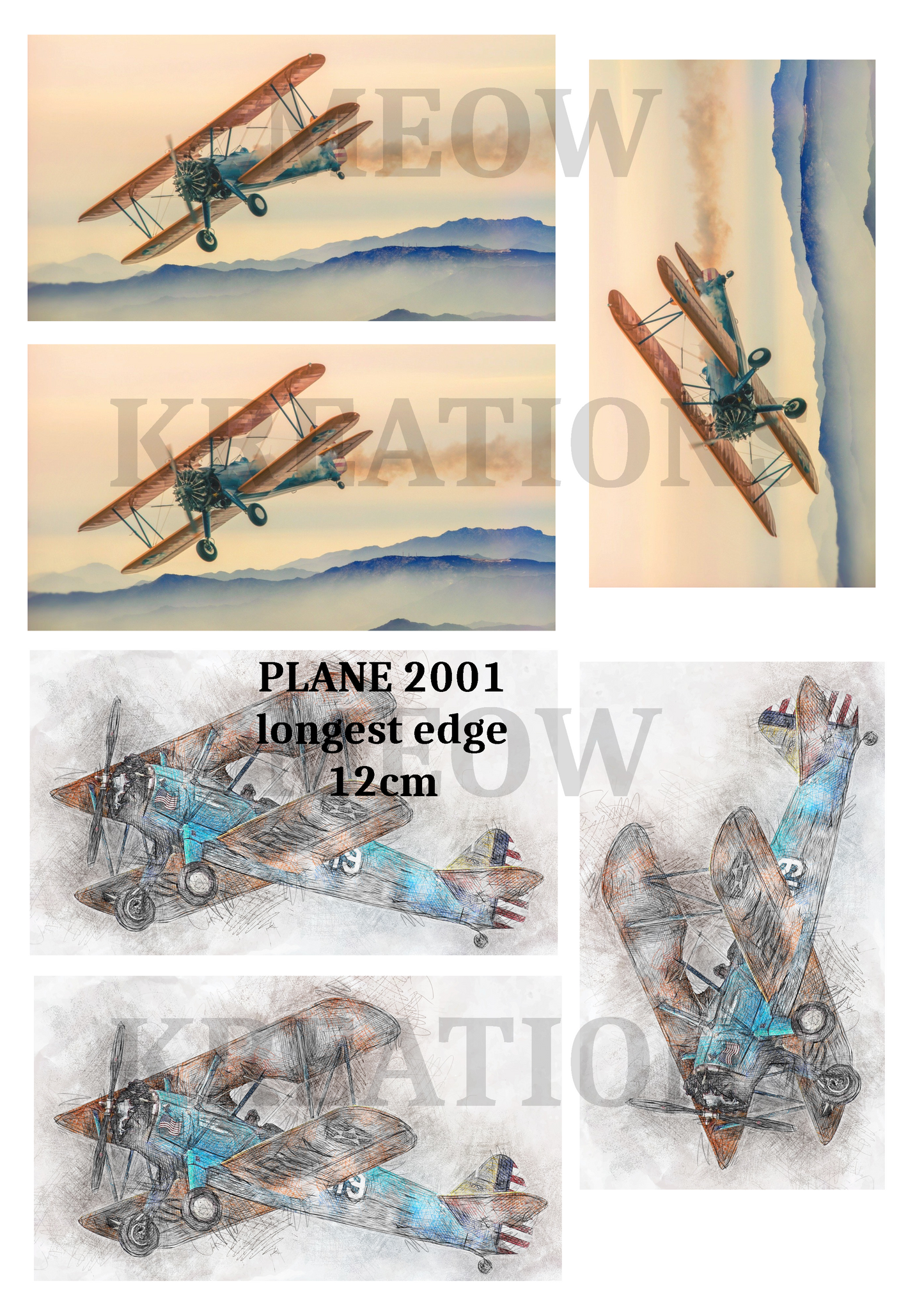 PLANE 2001