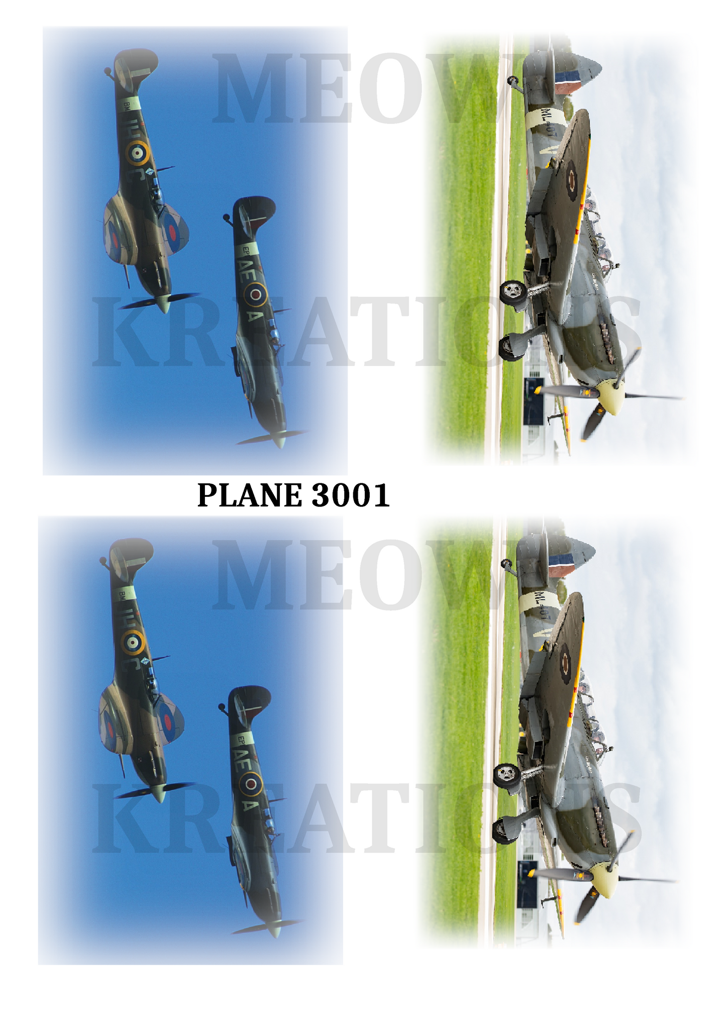 PLANE 3001