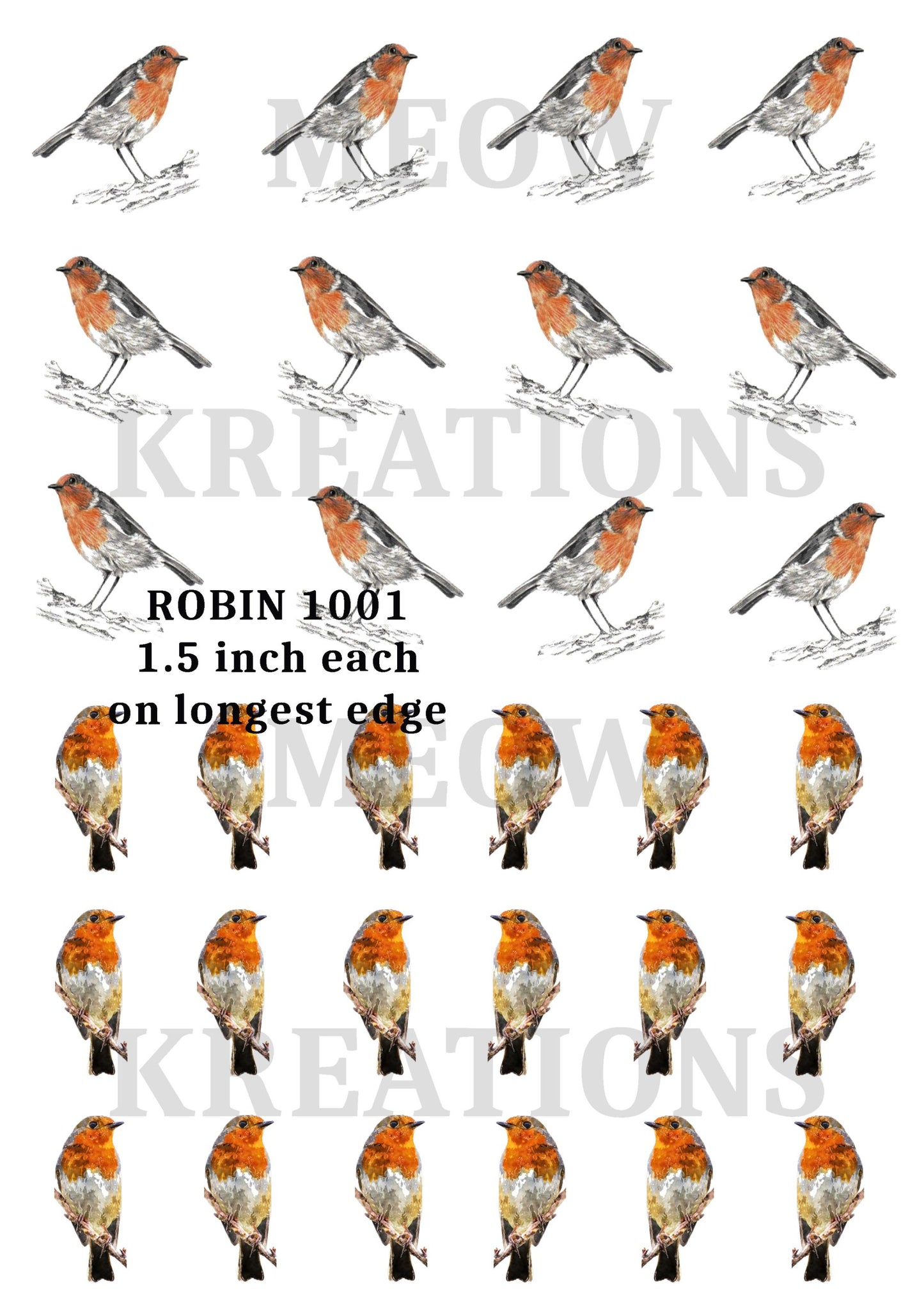 ROBIN 1001
