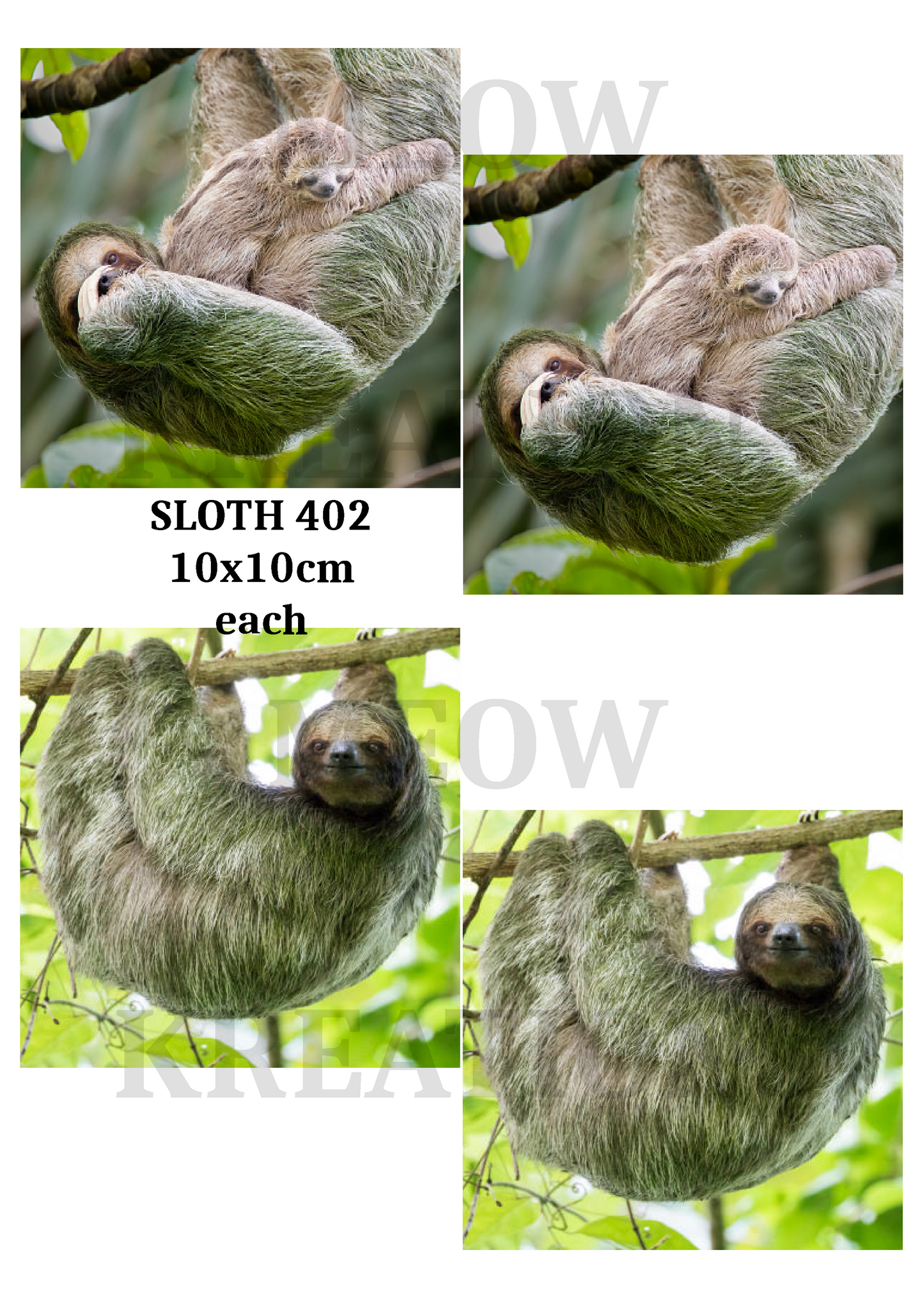 SLOTH 402