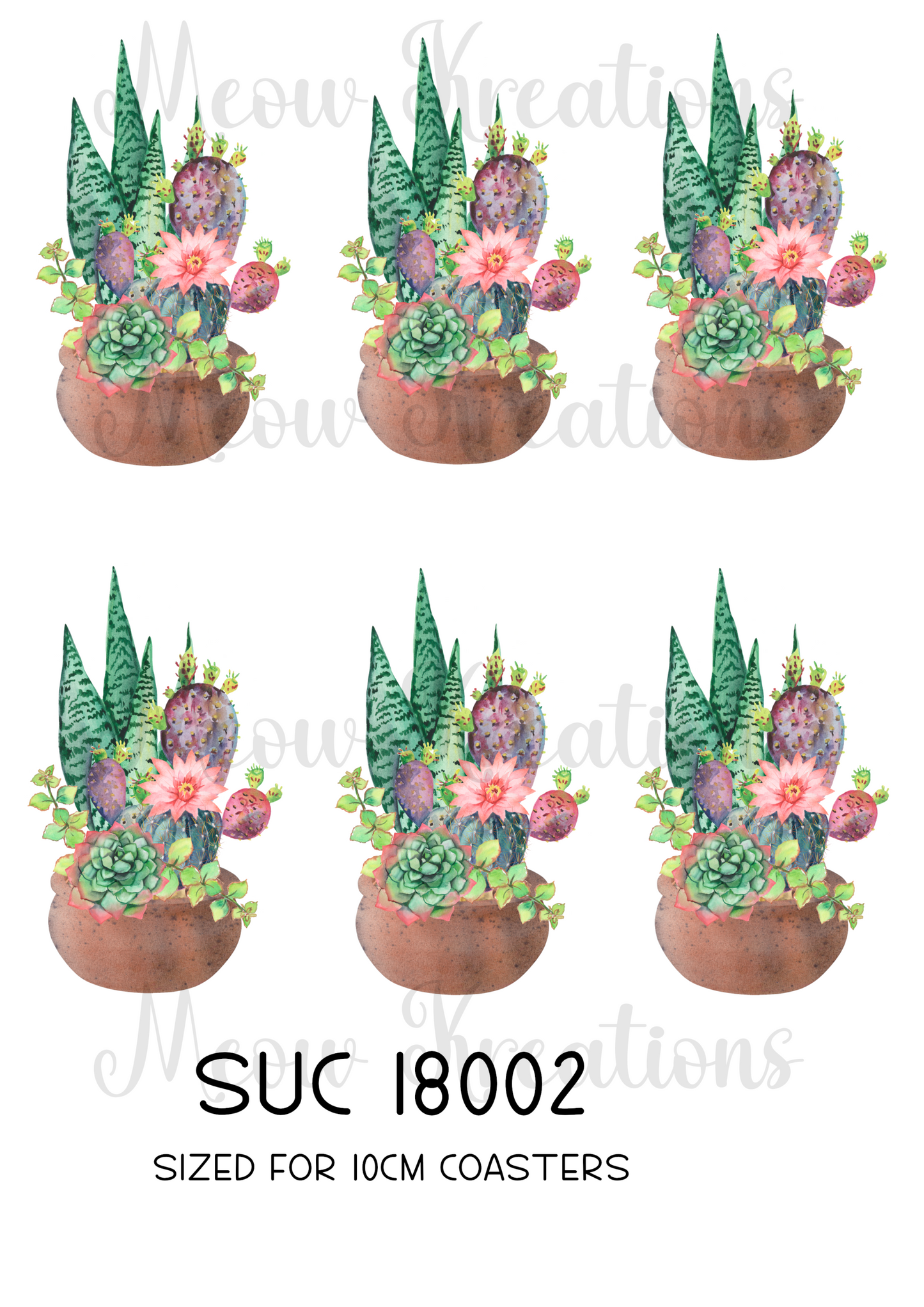 SUC 18002