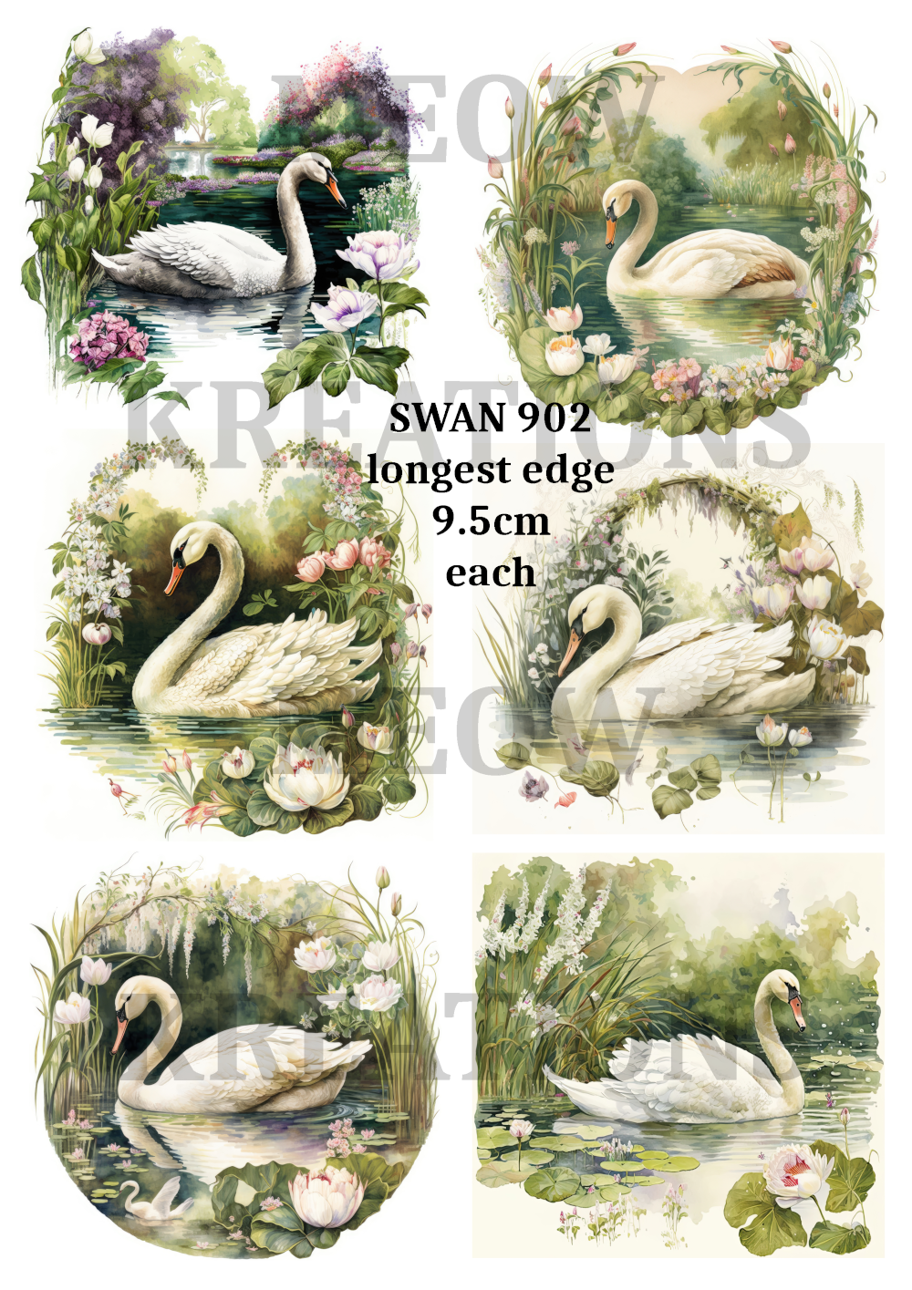 CISNE 902