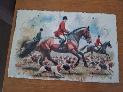 CABALLO 1101