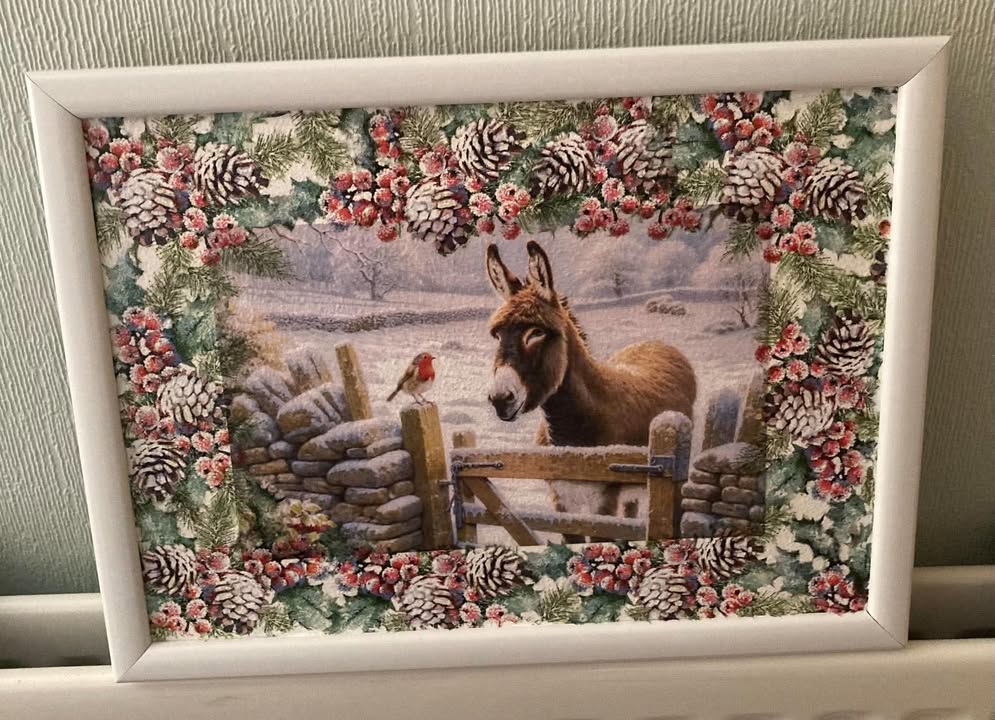 Donkey & Robin in Winter Decoupage Rice Paper - DON 1401