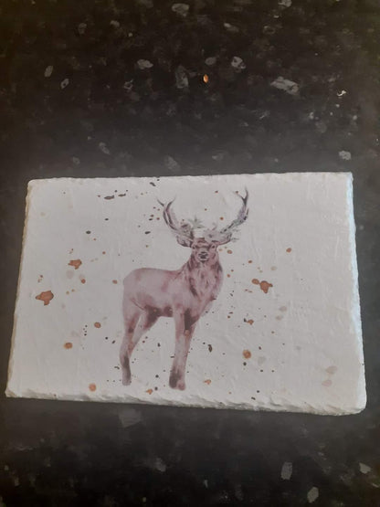 Watercolour Stag Decoupage Rice Paper - DEER 14001a