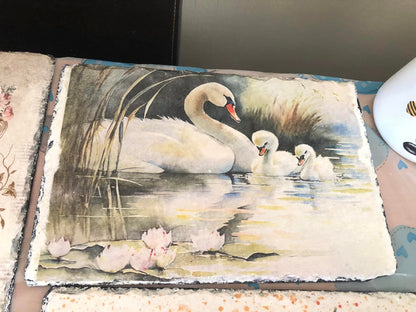 Decoupage Rice Paper - SWAN 1301