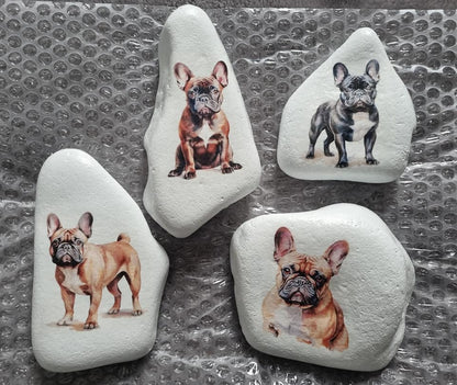 French Bulldog Watercolour Collection Decoupage Rice Paper - DGA 6501