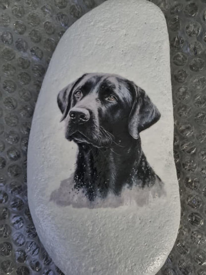 Black Labrador Decoupage Rice Paper - DGA 4602