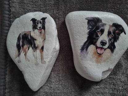 Border Collie Watercolour Collection Decoupage Rice Paper - DGA 8302